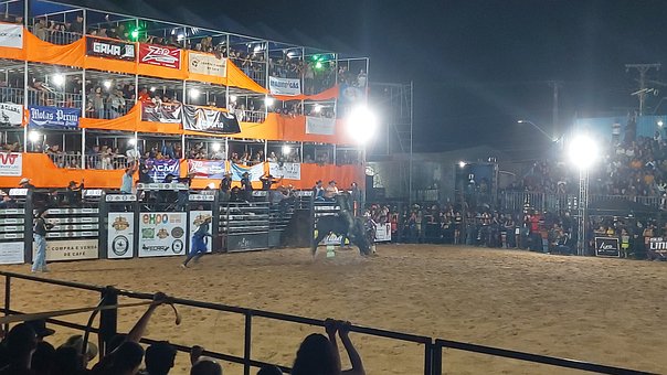 Rodeo, Parti, Lineær, Eksponering, Show