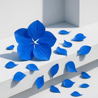 Free Flower Blue illustration and picture