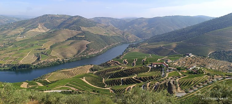 Portugal, Douro, Flussufer, Landschaft
