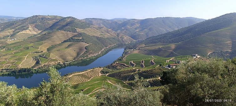 Portugal, Natur, Douro, Landschaft, Wein