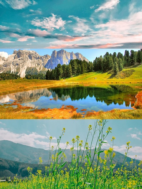 Free Nature Landscape illustration and picture