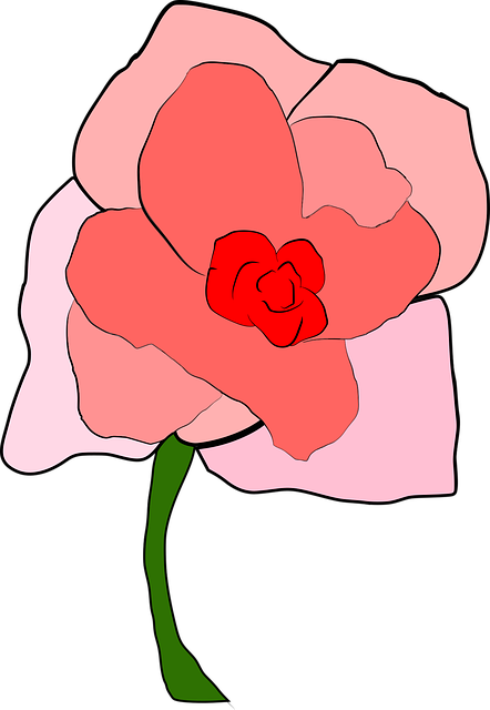 Free Flower Nature vector and picture