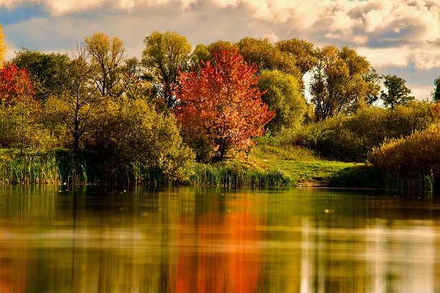 Free Autumn Colors Nature photo and picture
