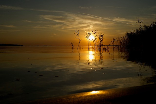 Free Sunset Nature photo and picture