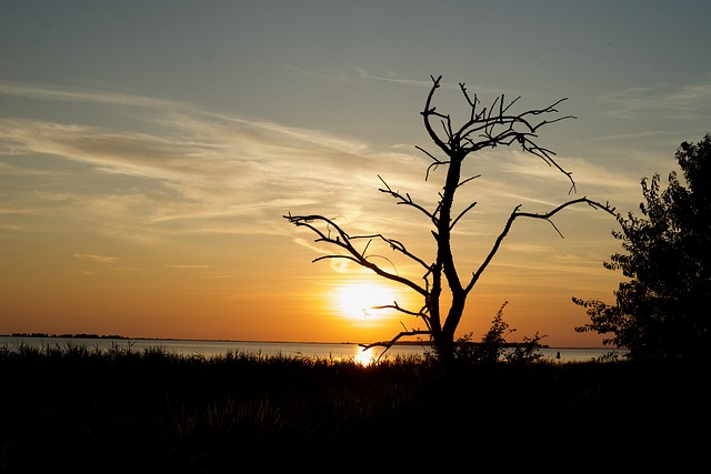 Free Sunset Nature photo and picture
