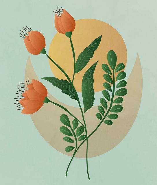 Download free HD stock image of Flowers Nature Free flowers nature vegetable illustration