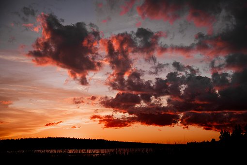 Wolken, Rot, Sonnenuntergang, Wald