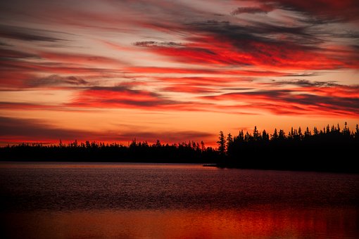 Wolken, Rot, Sonnenuntergang, Wald