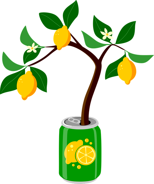 Free lemon nature lemonade illustration