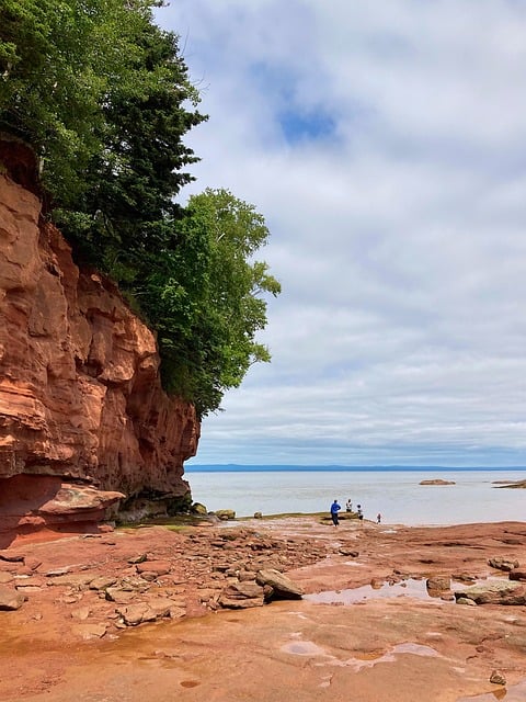 Free Fundy Canada photo and picture