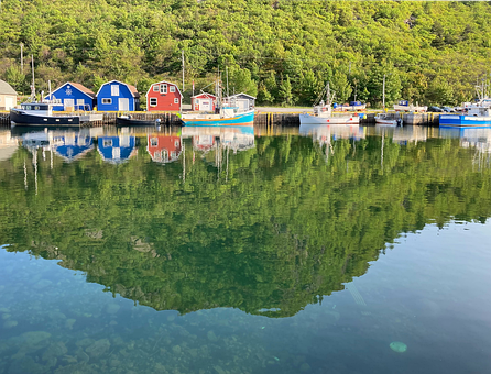 Free Petty Harbour Newfoundland photo and picture