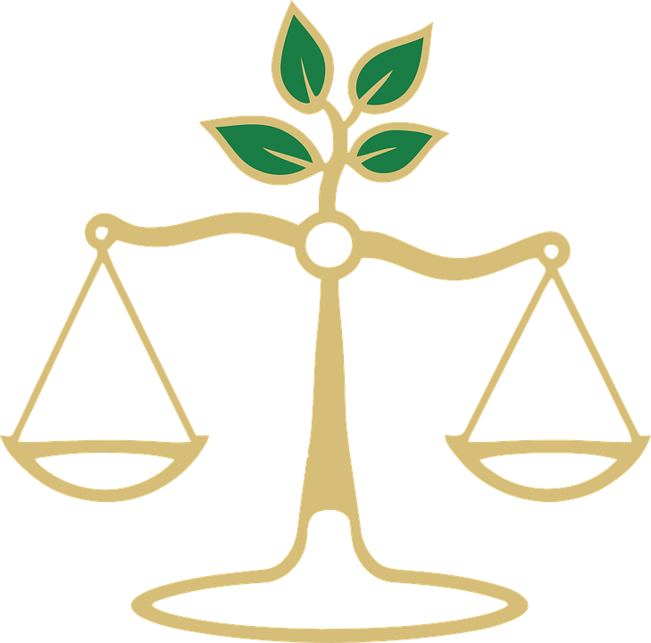 正义 法律 平衡 - 免费矢量图形Pixabay