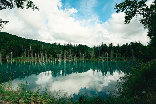 Sapporo, Japan, Hokkaido, Natur