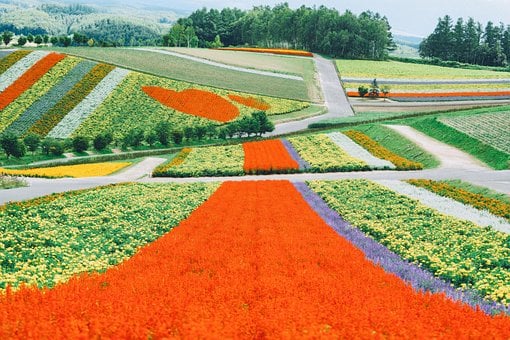 Sapporo, Japan, Hokkaido, Natur, Garten