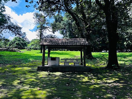 Free Nature Music photo and picture
