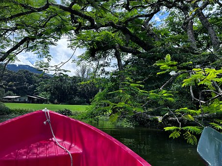 Free Boat Green Grass photo and picture