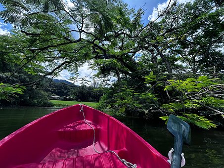 Free Nature Boat photo and picture