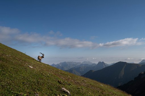 Montañas, Alpes, Piedras, Rock, Paisaje