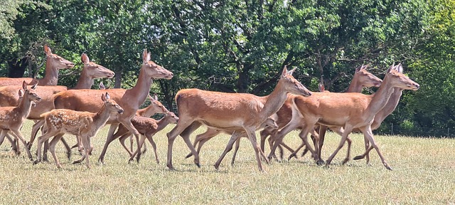 Free Rotte Nature photo and picture