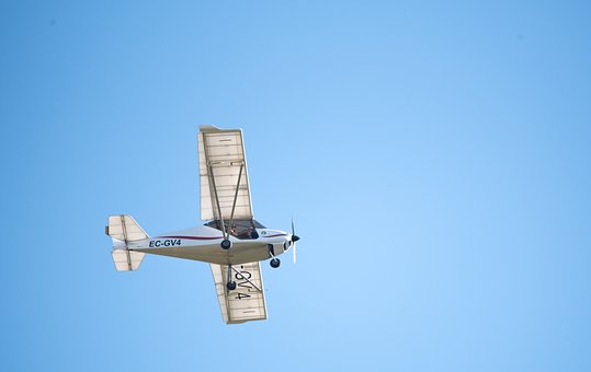Fly, Flyvende, Luftfart, Skat, Blå