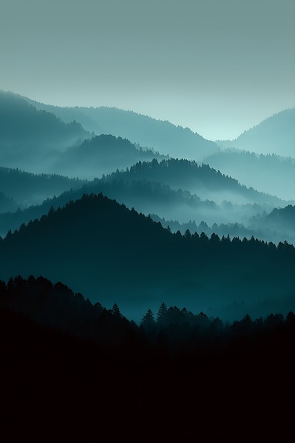 Bergen, Woud, Mist, Silhouetten, Gelaagd