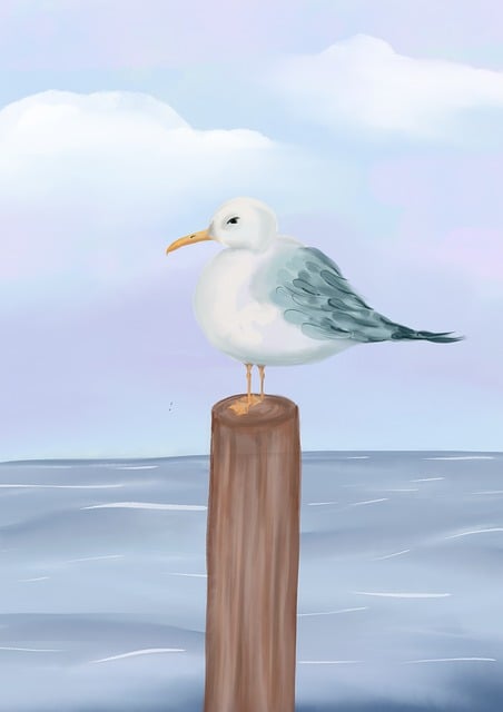 Free Gull Bird photo and picture