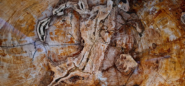 Mauer, Stein, Natur, Textur, Muster