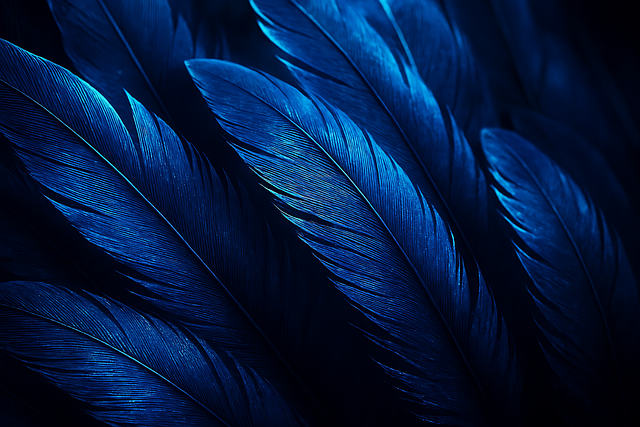 Free feathers bird pristine feathers illustration