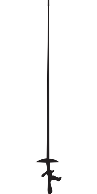 Free Fencing Fencing Weapon vector and picture