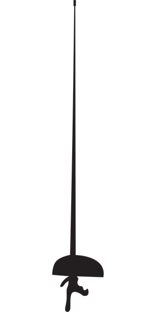 Free Fencing Fencing Weapon vector and picture
