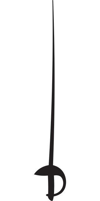 Free fencing fencing weapon fencing weapons vector