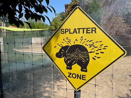 Free Zoo Wildlife photo and picture