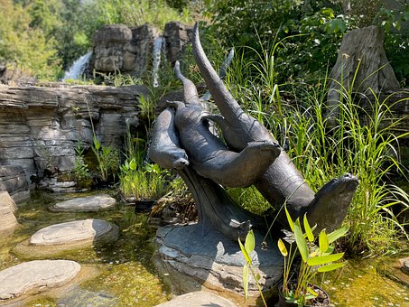 Free Otters Wildlife photo and picture