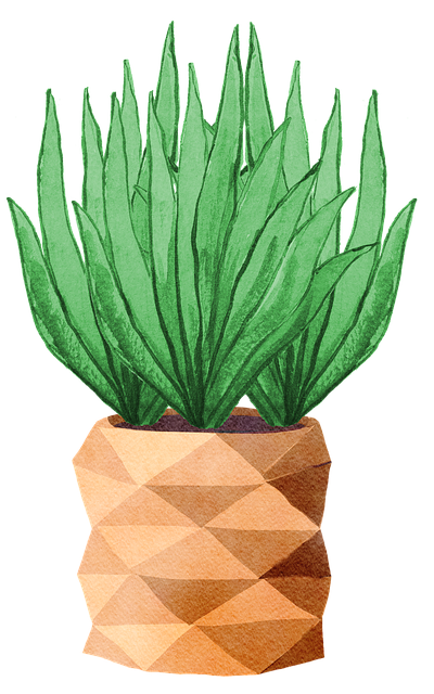 Free plants flora garden illustration