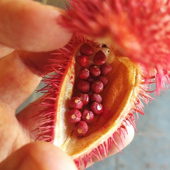 Free Annatto Colorado photo and picture
