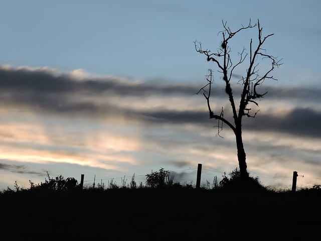 Solnedgang, Natur, Landskab, Bjergene