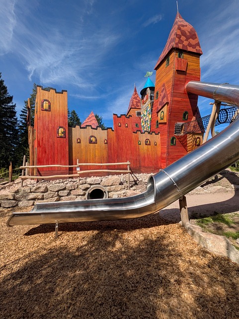 Free Climbing Castle Slide photo and picture