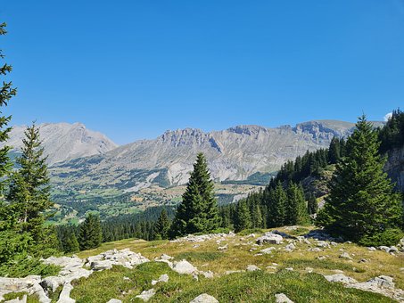 Free Mountain Landscape photo and picture
