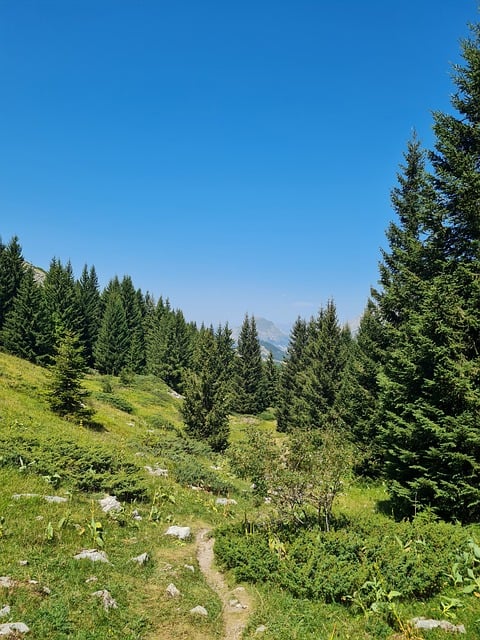 Free Mountain Landscape photo and picture