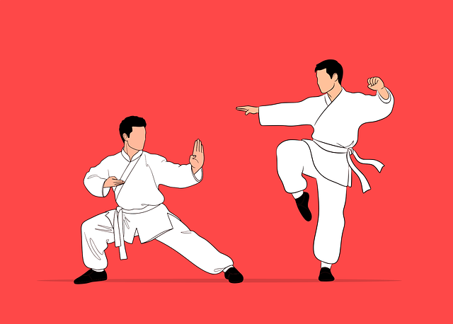 Free martial arts karate kung fu vector