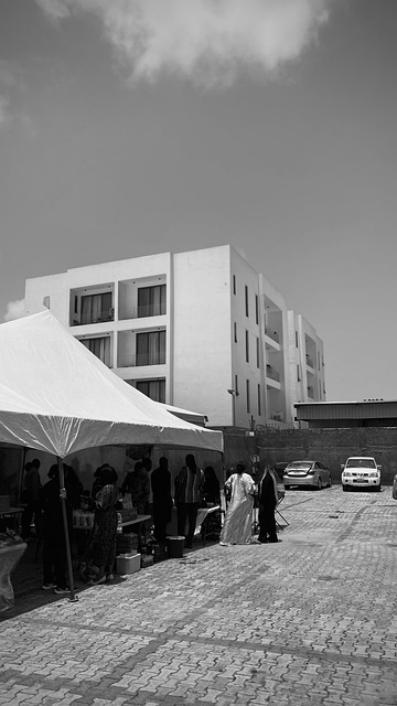 Pessoas, Mulher, Evento, O Negócio