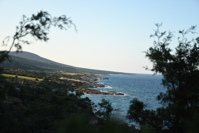 Free Coast Sea photo and picture