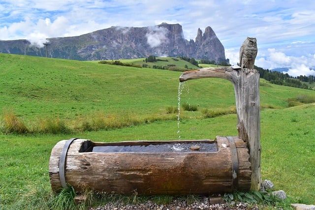 Free Fontana Water photo and picture