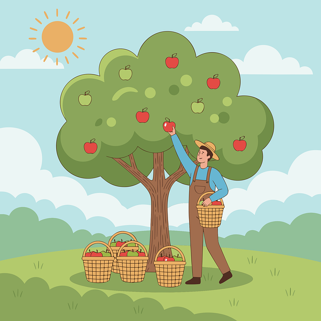 Free apple harvest apple apple tree illustration