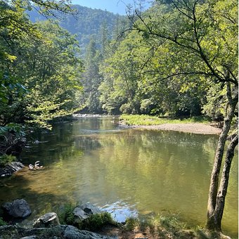 Free Lake Water photo and picture