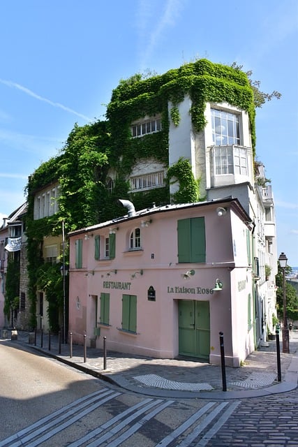 Free Pink House Montmartre photo and picture