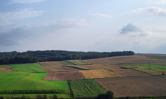 Free Landscape Nature photo and picture
