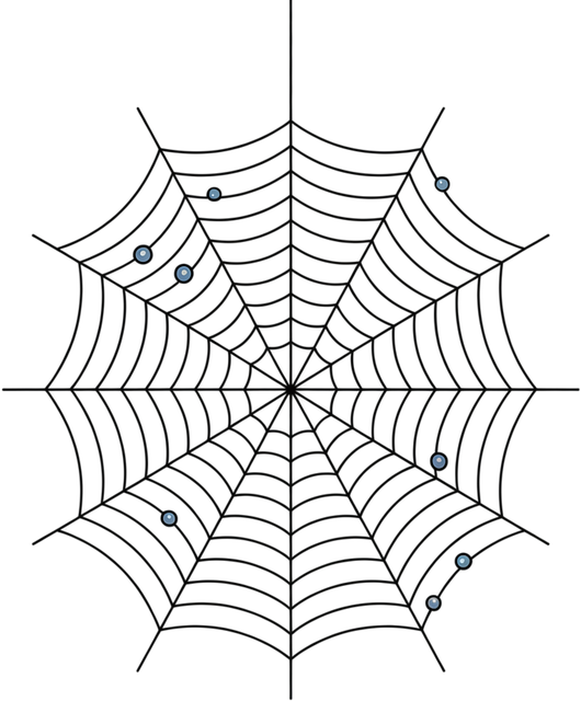 Spinnennetz, Muster, Strukturell