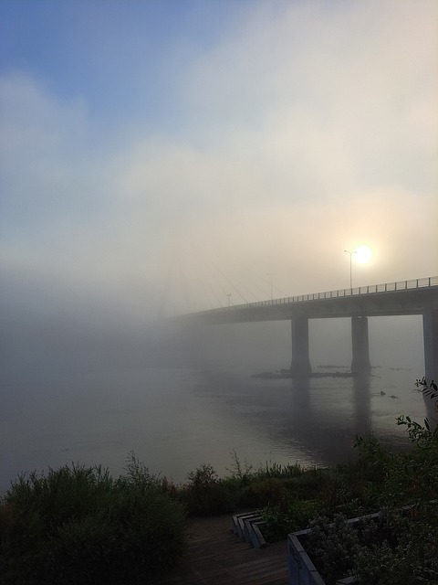 Free Bridge Warsaw photo and picture