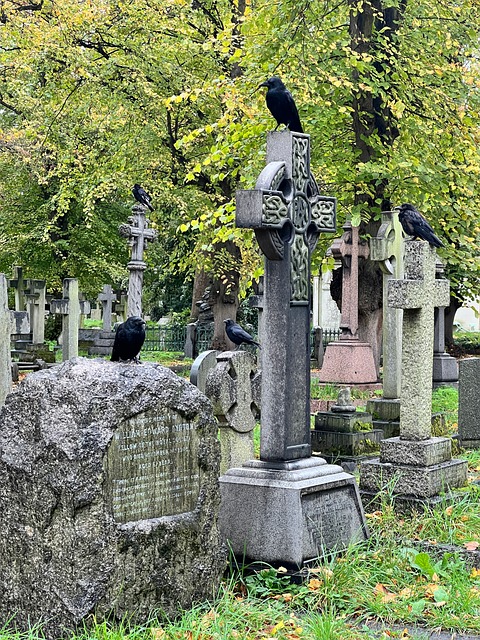 Friedhof, Krähen, Raben, Grabstein